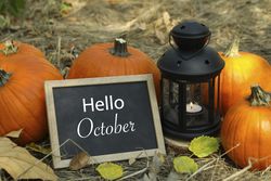 Cozy autumn concept with pumpkins and space for text