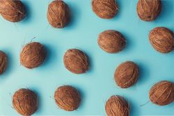 Coconut fruit pattern on a pastel blue background