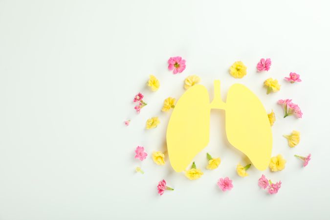 Yellow lungs surrounded with flowers, allergy concept, with copy space