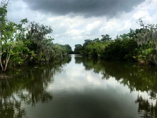 Green trees beside river under cloudy sky in Barataria, Louisiana, United States