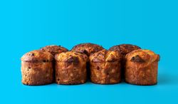 Panettone isolated on a blue background