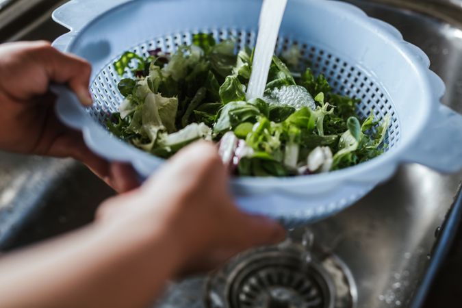 Crop child washing herbs for salad
