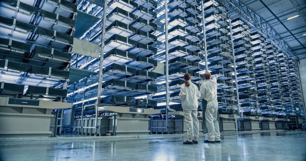 Work at an Advanced Vertical Farm WIth LED Lights. Two Facility Workers Discussing Business, Using Tablet Computer while Monitoring Farming Produce Optimization for Increased Agricultural Yields