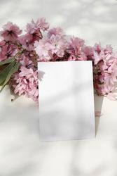 Spring styled stock photo blossoming pink Japanese cherry tree, sakura branch