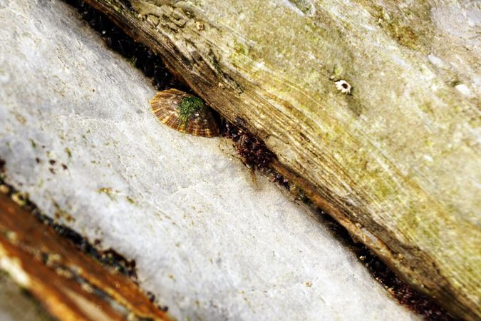 Stone texture with cracks