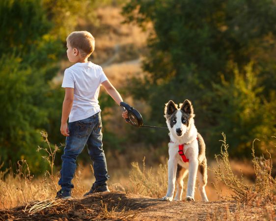 Young boy in jeans with dog on a leash in forest