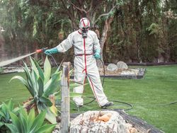 Fumigator in uniform spraying substance on garden