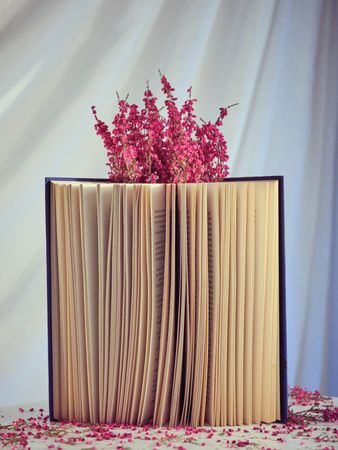 Flowers on opened book in studio