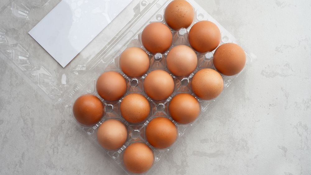 Organic chicken eggs in plastic packaging