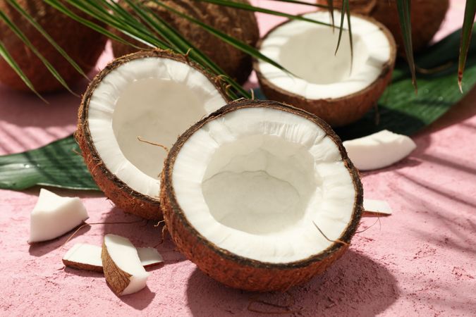 Coconut and palm leaves on pink background, close up