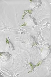 Summer scene with rose flowers in water