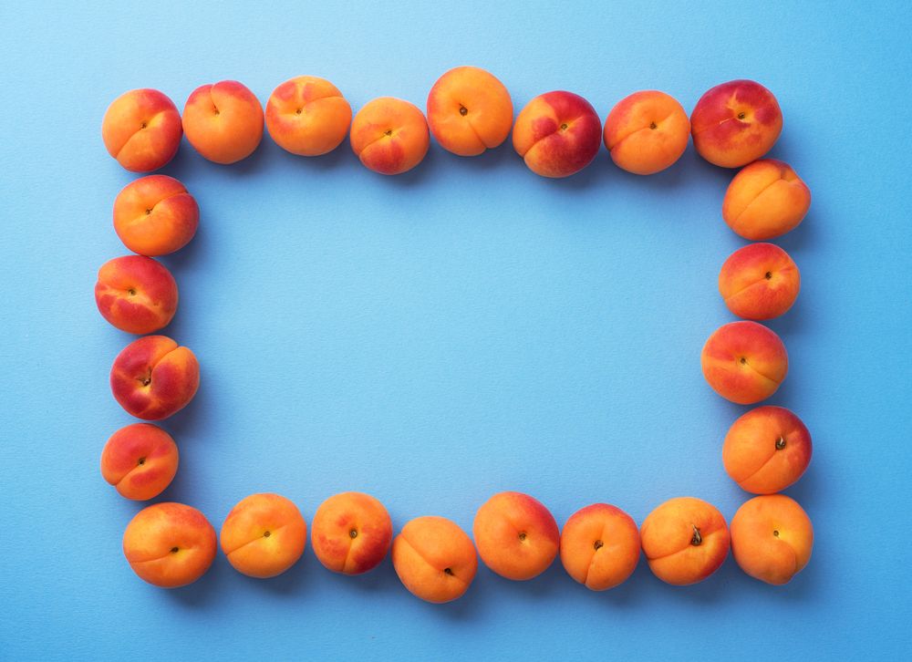 Apricots make a rectangle frame on blue background