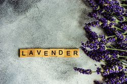 Summer card concept with lavender flowers and blocks spelling it out