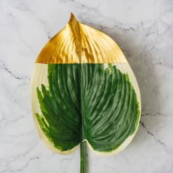 Gold tipped large leaf on marble background