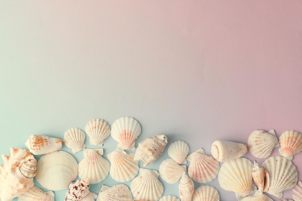 Seashell pattern on gradient pastel pink and blue background