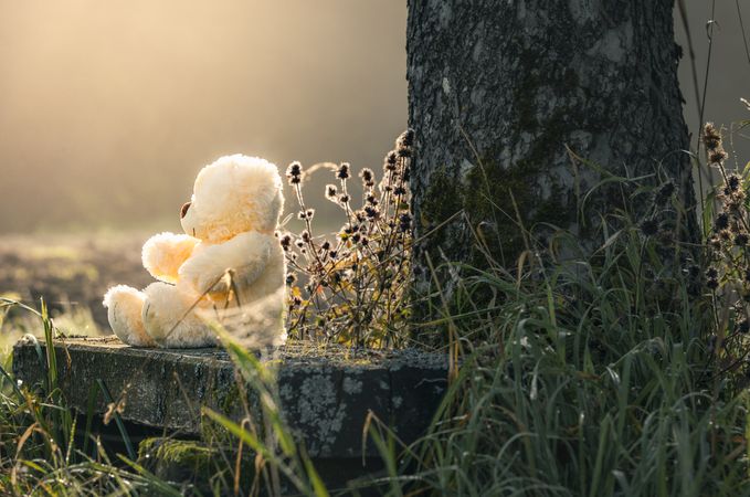 Teddy bear alone on a bench