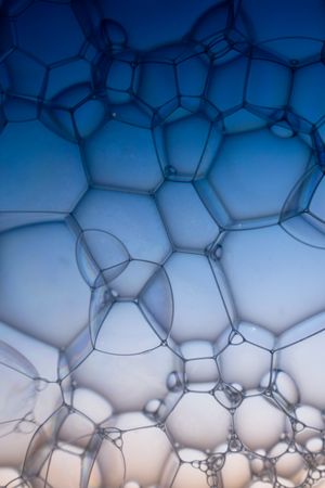 Abstract background bio technology, macro photography foam and water with gradient background. Molecule multicolor backgorund