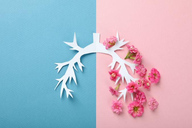 Lung bronchus made of paper and flowers on blue and pink background