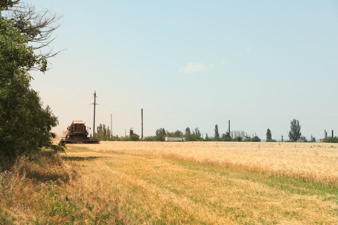 Red combine harvester in barley field. Agriculture and farming