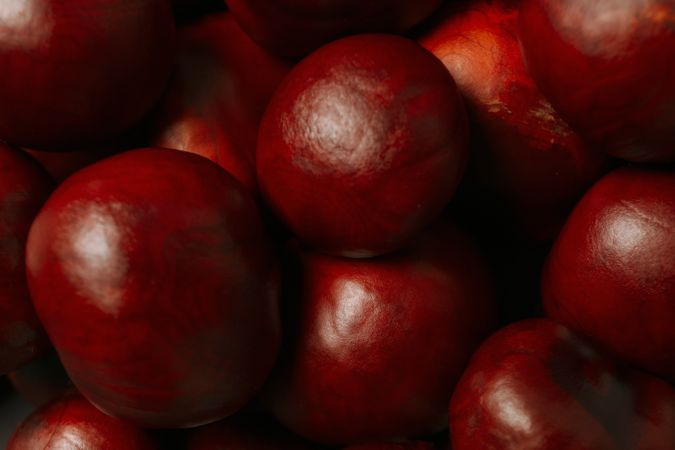 Fresh and ripe chestnuts, close up, Autumn chestnuts