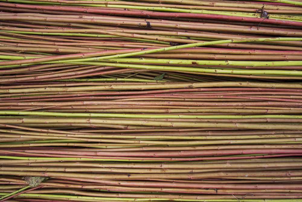 Red Green Raw Jute Texture background. This is the Called Golden Fiber in Bangladesh