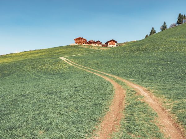 Countryside road running between green field near forest to small village