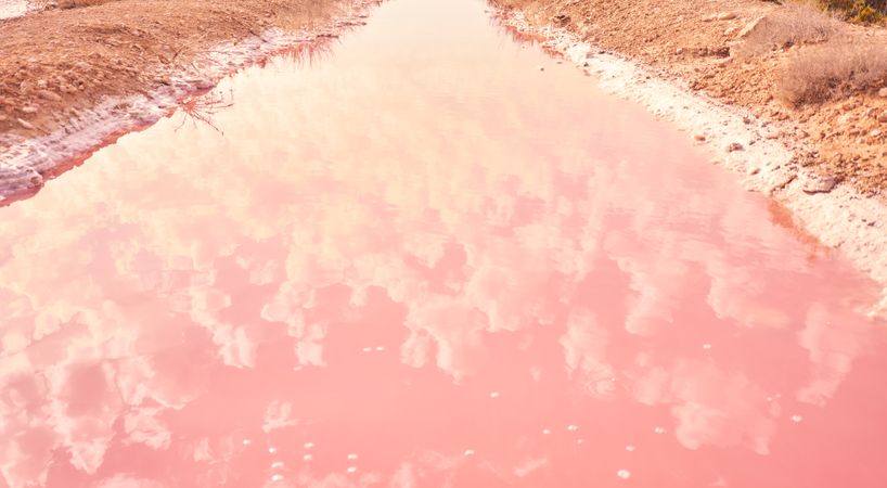 Salty pink water on seashore