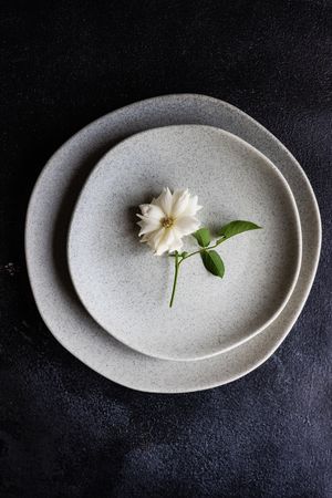 Top view of minimalistic table setting with flowers on grey plate