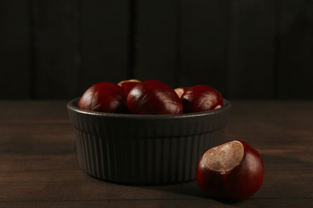 Fresh and ripe chestnuts, close up, Autumn chestnuts