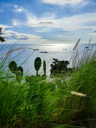 view of the sea from the hill with weed grass in the foreground in the Bukit Lampu area, Teluk Bayur, Padang city