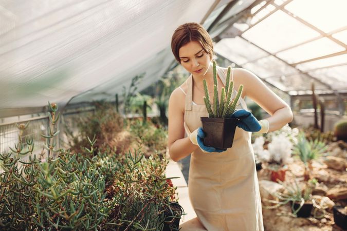 Shot of young woman holding a cactus potted plant in greenhouse