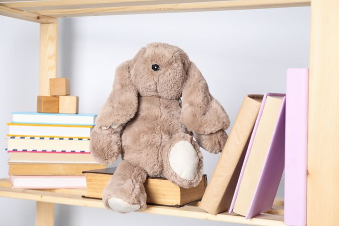 Book for baby, concept of literature for children and baby