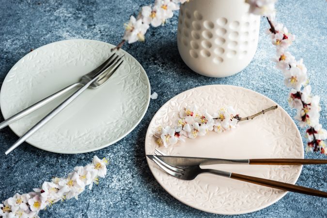 Spring floral concept with apricot blossom on two plates