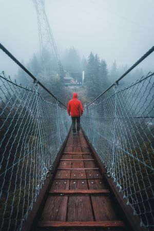 Back view of a person in red jacket walking the rope bridge
