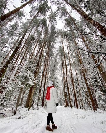 Person standing in snow covered  forest in Aprelevka, Moskovskaya oblast', Russia