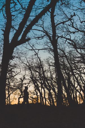 Man walking in autumn forest at sunset
