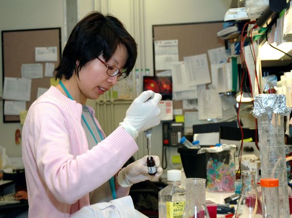 Frederick, MD - USA, July 2006: An Asian female scientist from the National Cancer Institute