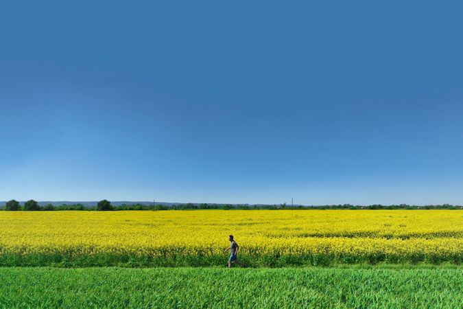 view of a runner jogging through nature, embracing fitness and freedom