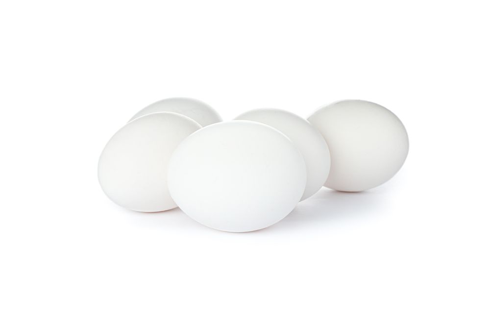 chicken eggs isolated on plain background