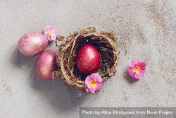 Top view of pink eggs and flowers in nest 0JdEr4