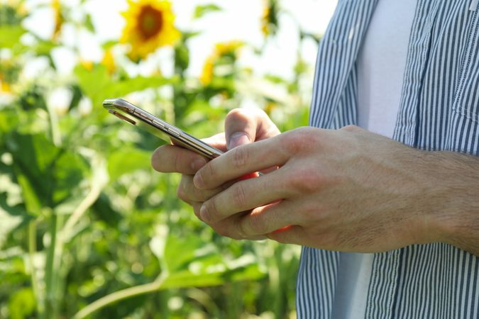 Man with phone in sunflower field. Agriculture business