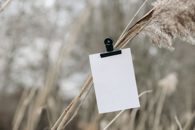 Blank greeting card mockup on long grass with metal clip