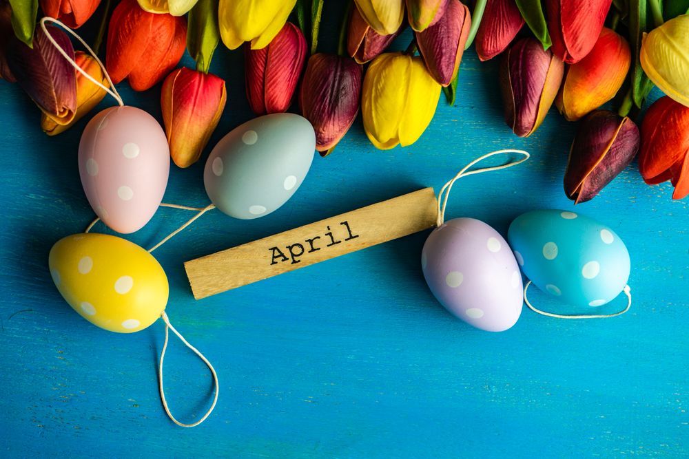 Flat lay of tulip flowers and pastel eggs on blue counter