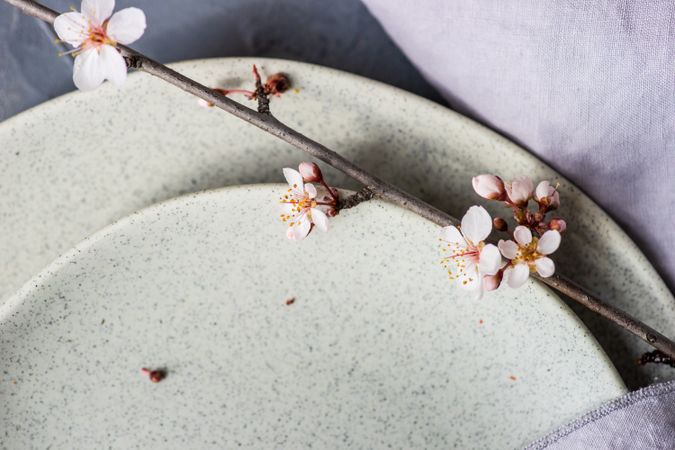 Close up of blooming tree branch on spring table setting