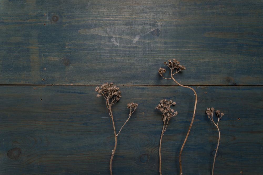 Brown dried leaves on blue wooden surface