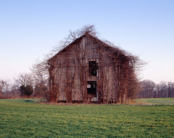 Barn in Rural Maryland
