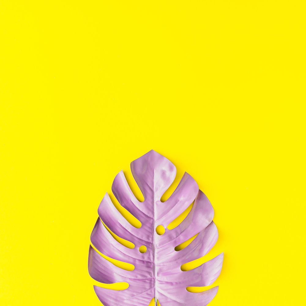 Painted tropical leaf in vibrant bold colors on yellow background
