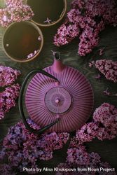 Top view of purple teapot with spring lilacs 5R8nrb