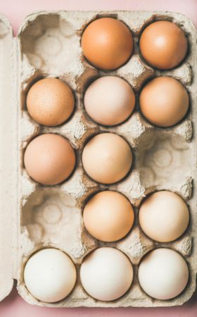 Top view of neutral colored eggs in carton