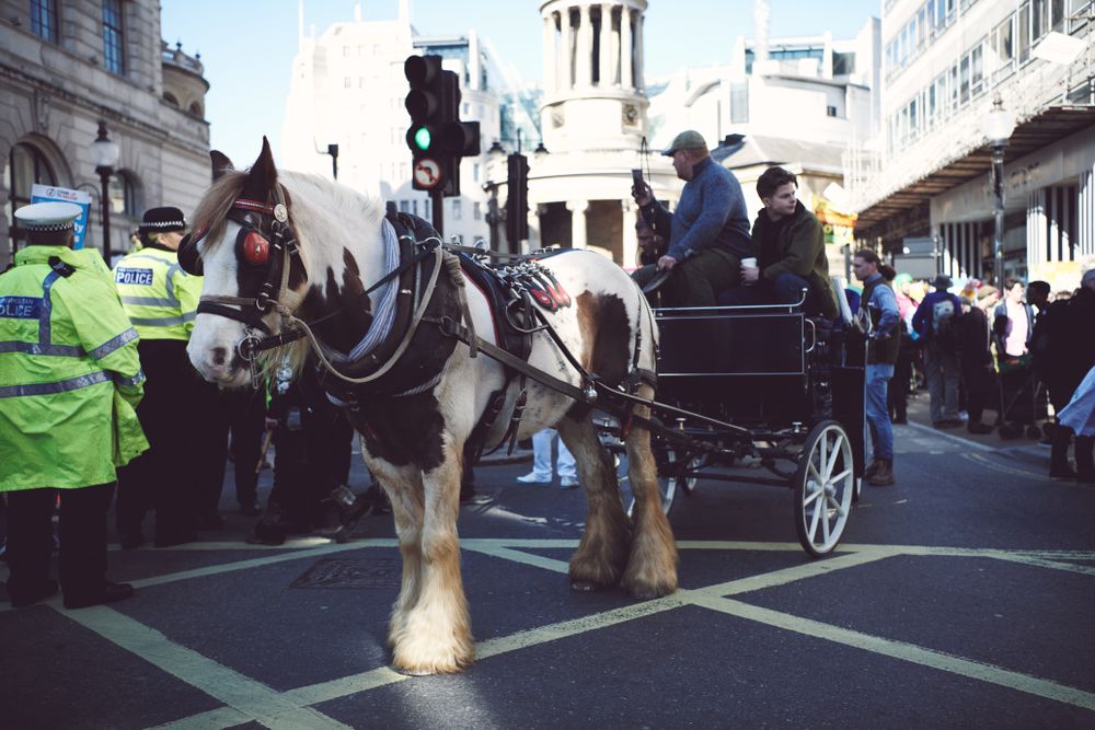London, England, United Kingdom - March 19 2022: Horse and carriage going through London during prot